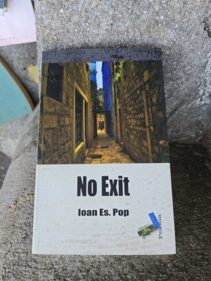 No Exit - Ioan Es. Pop foto