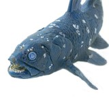 Figurina - Coelacanth | Safari