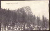 3897 - RASTOLITA, Mures, Romania - old postcard - used