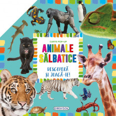 Carte pop-up - animale salbatice PlayLearn Toys