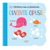 Carticica mea cu ferestruici. Cuvinte opuse. Bebe invata