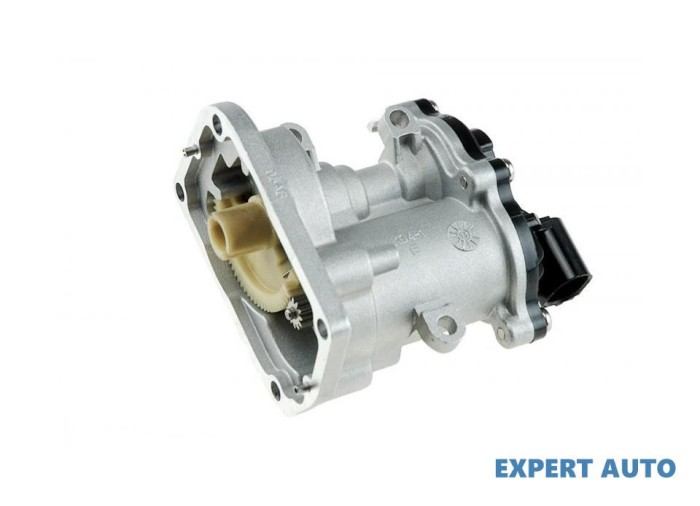 Valva egr Ford Transit Connect (2002-2012)[P65_,P70_,P80] #1
