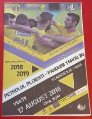 Program meci fotbal PETROLUL PLOIESTI - PANDURII TARGU JIU (17.08.2018)