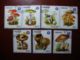 PARAGUAY SERIE CIUPERCI