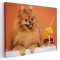 Tablou caine pomeranian cu pahar suc Tablou canvas pe panza CU RAMA 40x60 cm