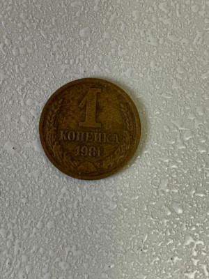 Moneda 1 KOPECK (copeici - kopeika - kopeica) - 1981 - Rusia (313) foto