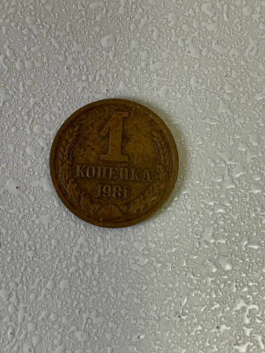 Moneda 1 KOPECK (copeici - kopeika - kopeica) - 1981 - Rusia (313)