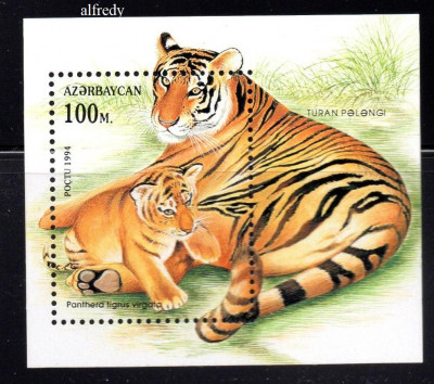 AZERBAIJAN 1994, Fauna, Feline, serie neuzata, MNH foto