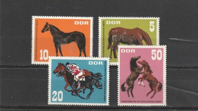 Fauna,cai de rasa ,DDR . foto