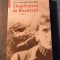 Despartirea de Bucuresti Victor Ieronim Stoichita