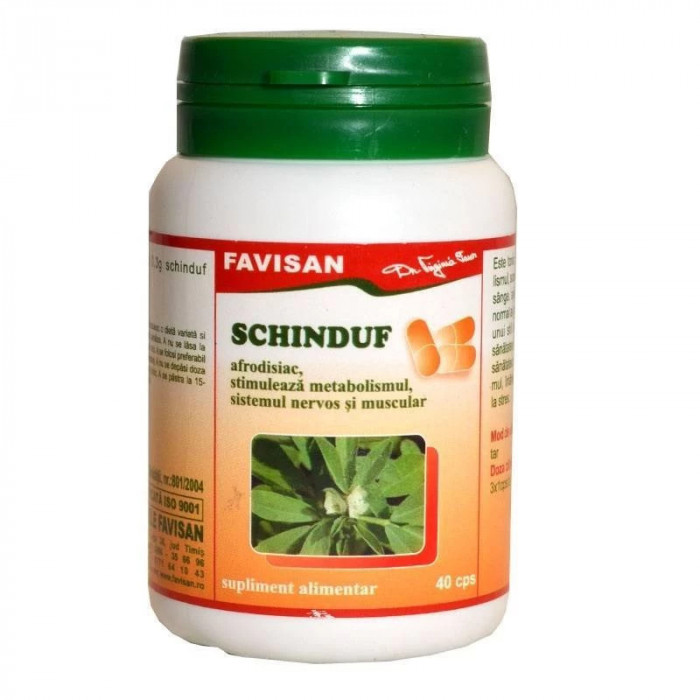 SCHINDUF 40cps FAVISAN