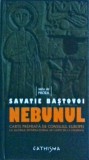 Nebunul - Savatie Bastovoi, Editura Cathisma, 2009. Roman religios, 123 pagini, Coperta cartonata