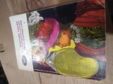 (2.3 B.P.T.) BPT Thomas Hardy - Tese D&quot;urberviile