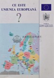 Ce este Uniunea Europeana? - 2001 (AR113)