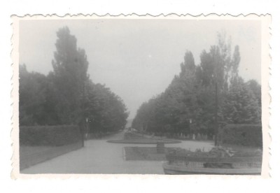 Fotografie &amp;rdquo;Bacău Parcul&amp;rdquo; (1965) foto