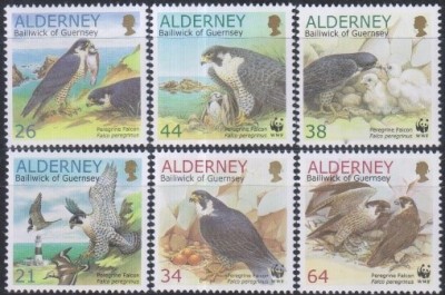 Timbre cu șoimi din Alderney foto