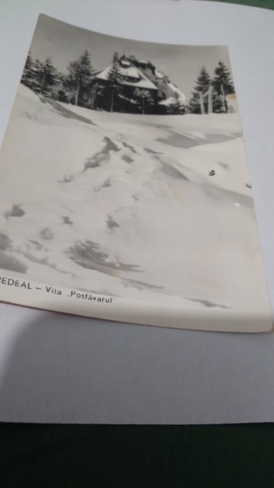 CARTE POSTALA PREDEAL VILA POSTAVARUL CIRCULATA