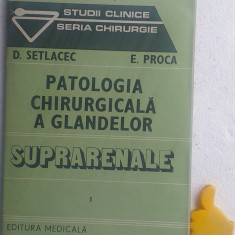 Patologia chirurgicala a glandelor suprarenale, vol. 1 D. Setlacec