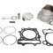 Cilindrul Assy (249. 4t. Cu garnituri; cu piston) se potrivește: Kawasaki KX 250 2010-2010