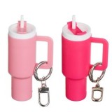 Breloc Cana Termos Metalic Roz sau Fucsia pentru Copii, CMCLASS