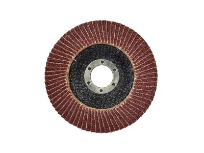 Disc abraziv lamelar 115 mm, P40, Geko G00300 foto