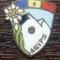 INSIGNA NETERMINATE DIN PERIOADA COMUNISTA, AGVPS