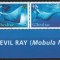 Gibraltar 2006 Mi 1150/53 strip MNH - WWF: Pisici de mare 27-3