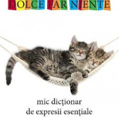 Mic dictionar de expresii esentiale - Nicolae Constantinescu