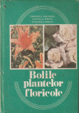 MARINESCU GHEORGHE, COSTACHE MARCEL - BOLILE PLANTELOR FLORICOLE