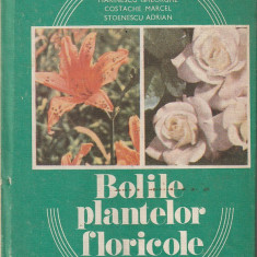 MARINESCU GHEORGHE, COSTACHE MARCEL - BOLILE PLANTELOR FLORICOLE