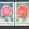 Romania.1970 Flori-Trandafiri XR.639