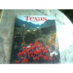 TEXAS - JOEL ZOSS (CARTE IN LIMBA ENGLEZA)