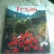 TEXAS - JOEL ZOSS (CARTE IN LIMBA ENGLEZA)