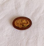 Insigna culturism Odorheiu Secuiesc