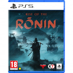 Joc PS5 Sony Rise Of The Ronin