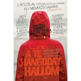 Csak a te hangodat hallom - Leah Scheier