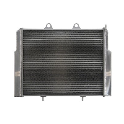 RADIATOR POLARIS RANGER ACE 500/570/800 2008 2018 foto