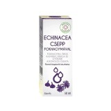 Picaturi Echinacea Usturoi Balint 50 ml - Suport Imunitar