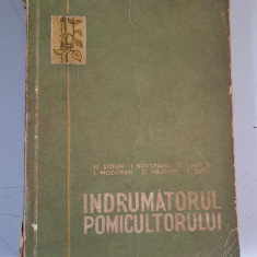 INDRUMATORUL POMICULTORULUI - N. STEFAN, T. BORDEIANU, D. CVASNII, I. MODORAN