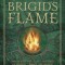 Tending Brigid&#039;s Flame: Awaken to the Celtic Goddess of Hearth, Temple, and Forge