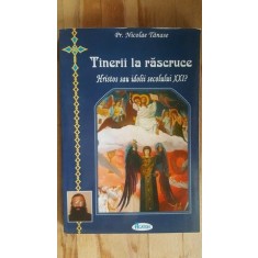 Tinerii la rascruce. Hristos sau idolii secolului XXI- Nicolae Tanase