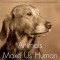 Animals Make Us Human: Creating the Best Life for Animals