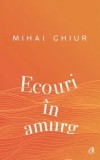 Cumpara ieftin Ecouri in amurg/Mihai Ghiur