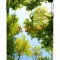 Toc TPU Design No. 530 Samsung Galaxy S10e