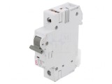 &Icirc;ntrerupător de Supracurent 50A 1P 6kA 230/400V