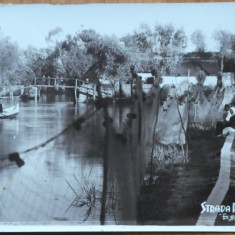 8 fotografii originale din 1938 , Valcov , Foto Beneraf Chilia Noua , necircul.