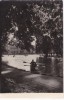 AMS - ILUSTRATA 1254, CLUJ - VEDERE DN PARC, ANUL 1960, Circulata, Fotografie