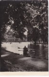AMS - ILUSTRATA 1254, CLUJ - VEDERE DN PARC, ANUL 1960