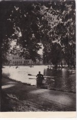 AMS - ILUSTRATA 1254, CLUJ - VEDERE DN PARC, ANUL 1960