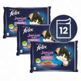 FELIX Junior Fantastic pliculețe, selecție delicioasă &icirc;n gelatină 12 x 85 g